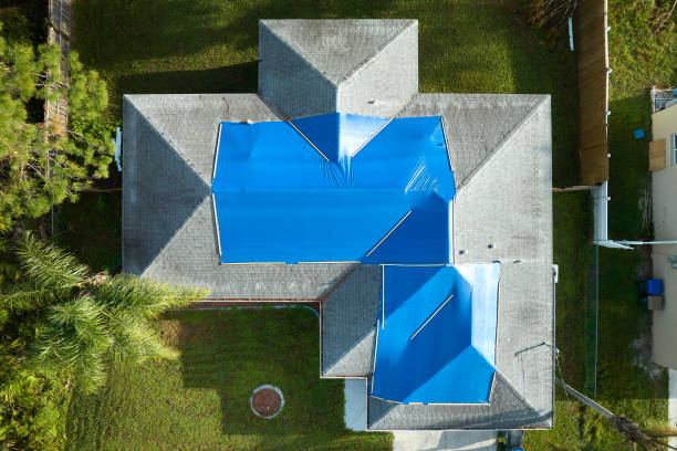 Best Skylight Installation and Repair  in Vla Park, IL