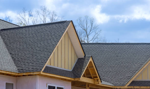 Best Sheet Metal Roofing  in Vla Park, IL