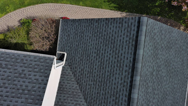 Best Roof Insulation Installation  in Vla Park, IL